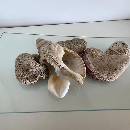 דירות מאלגה Mar De Fondo En Pedregalejo מראה חיצוני תמונה